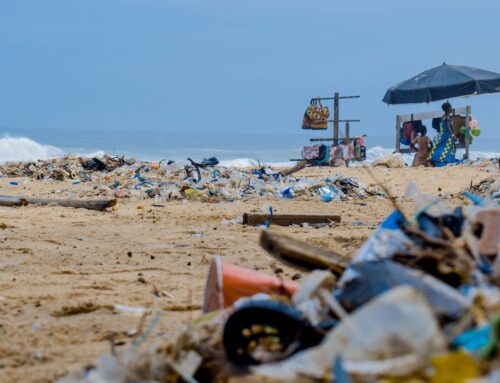 Novo Plástico Biodegradável Oferece Esperança na Luta Contra a Poluição nos Oceanos